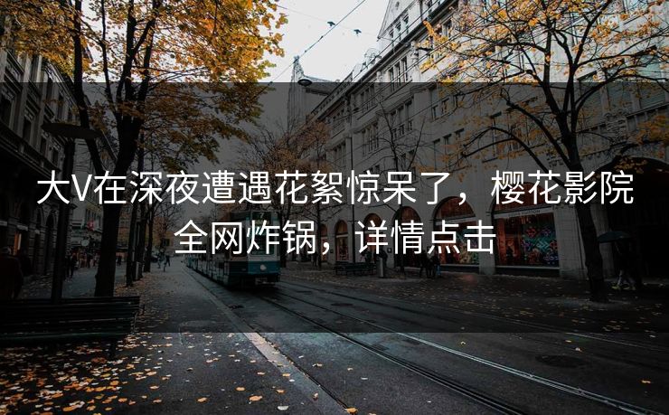 大V在深夜遭遇花絮惊呆了，樱花影院全网炸锅，详情点击